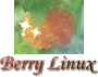 Berry logo