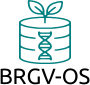 BRGV-OS logo