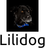 Lilidog logo