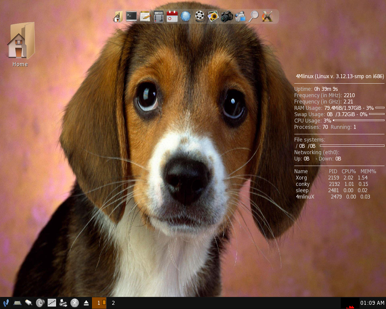 4MLinux desktop screenshot: 8.2