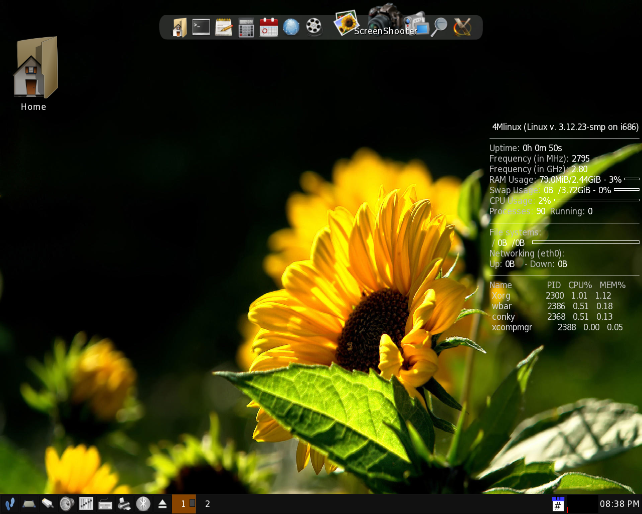 4MLinux desktop screenshot: 9.1 desktop