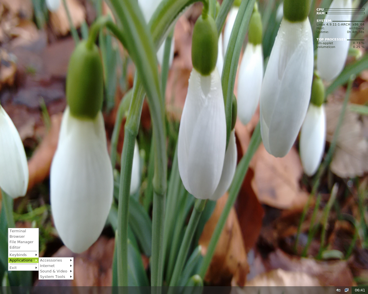 ArchBANG desktop screenshot: 0317