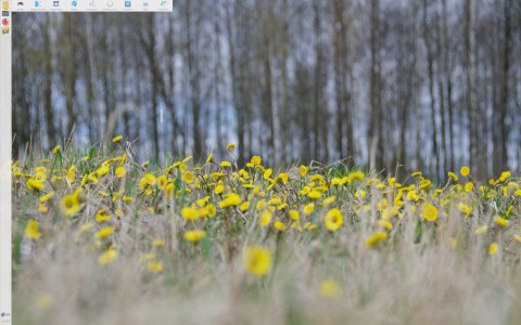 AUSTRUMI desktop screenshot: Distribution overview