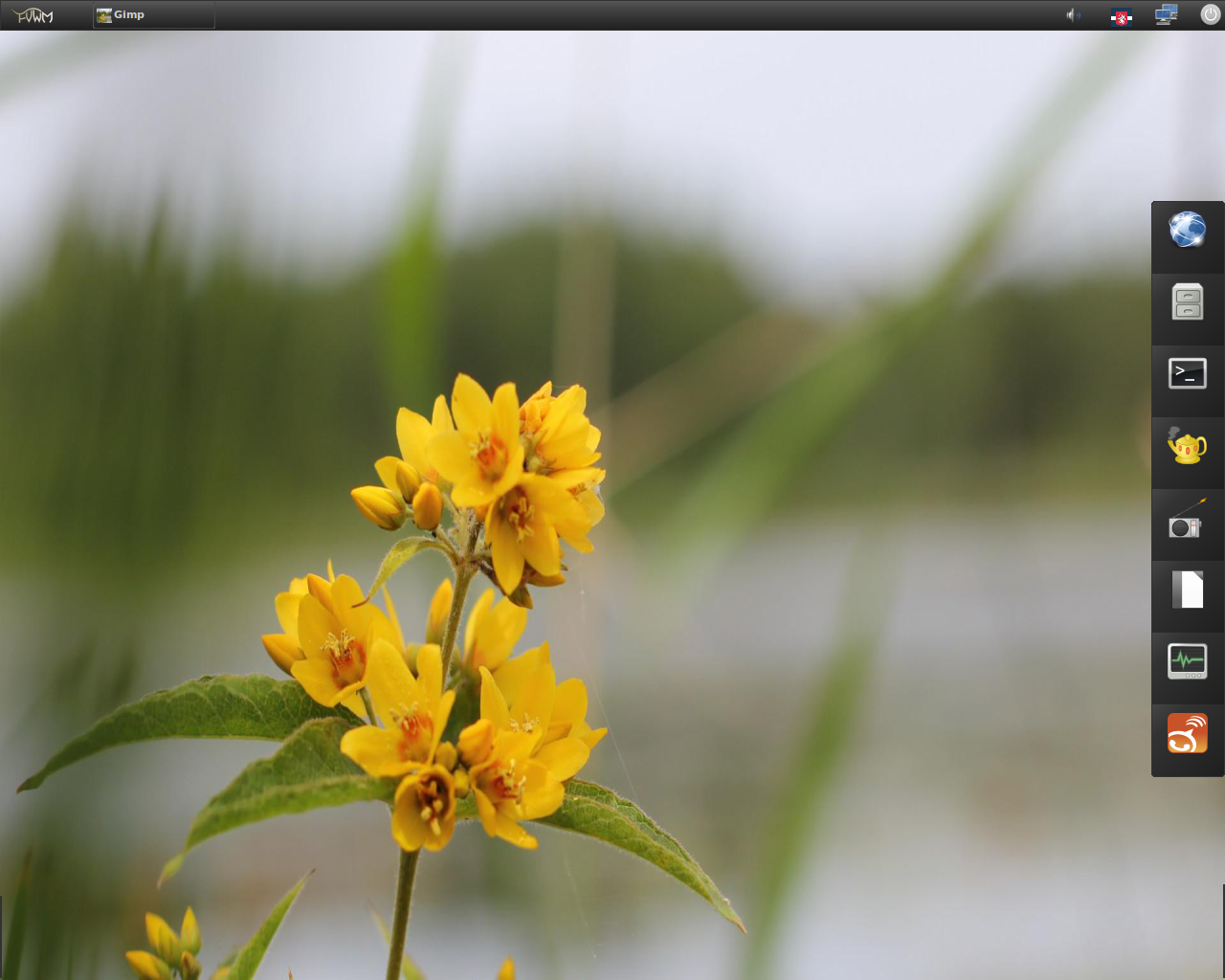 AUSTRUMI desktop screenshot: 3.0.8