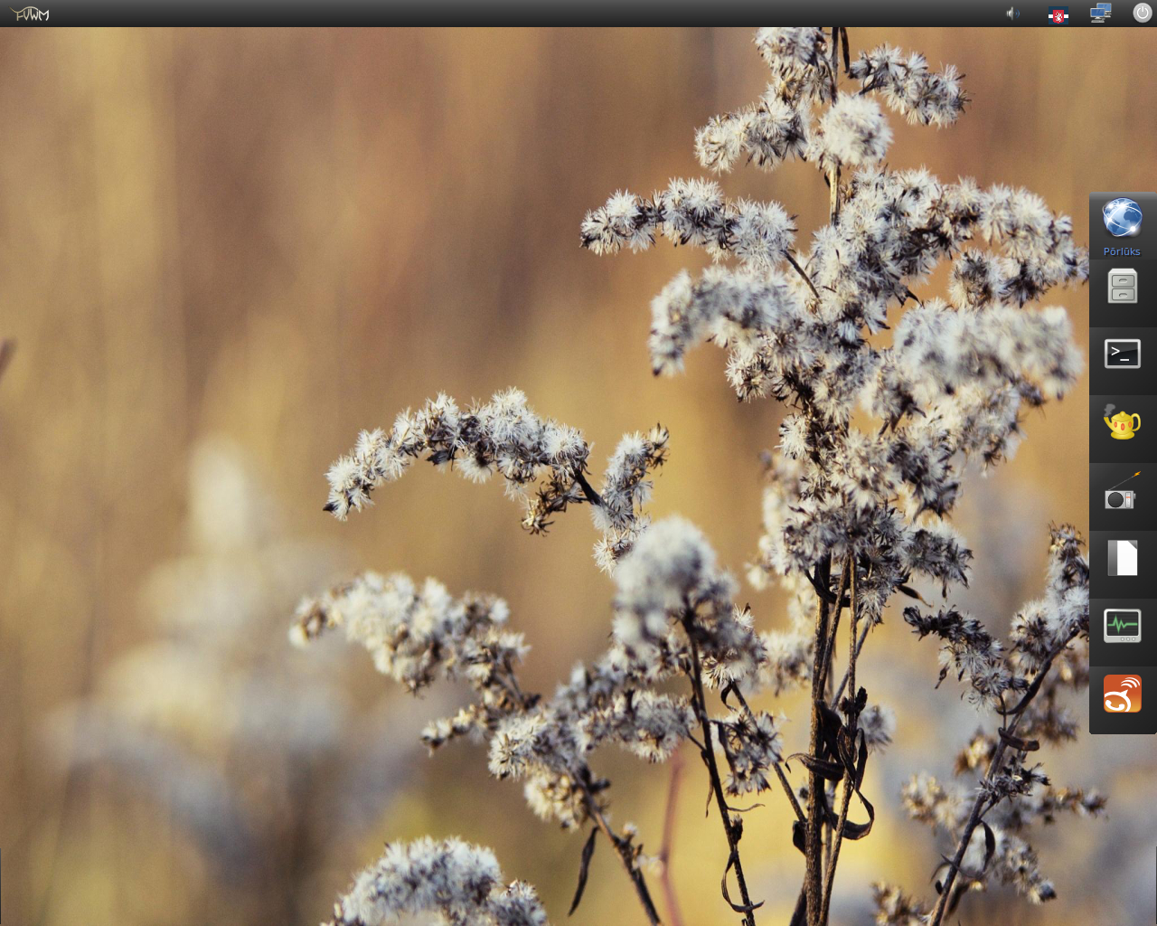 AUSTRUMI desktop screenshot: 3.1.6