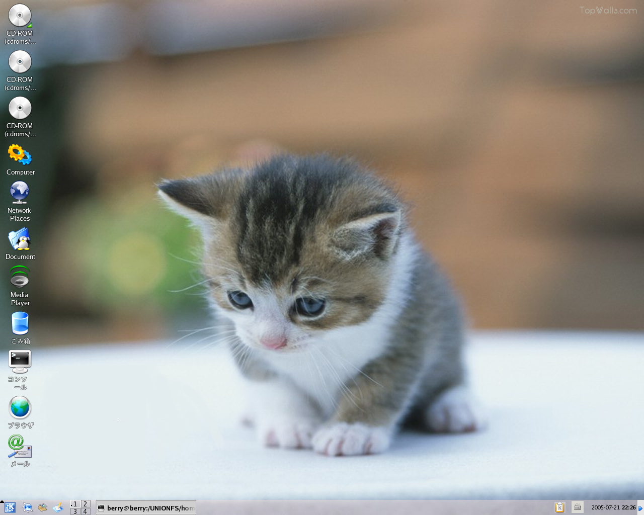 Berry desktop screenshot: 0.60