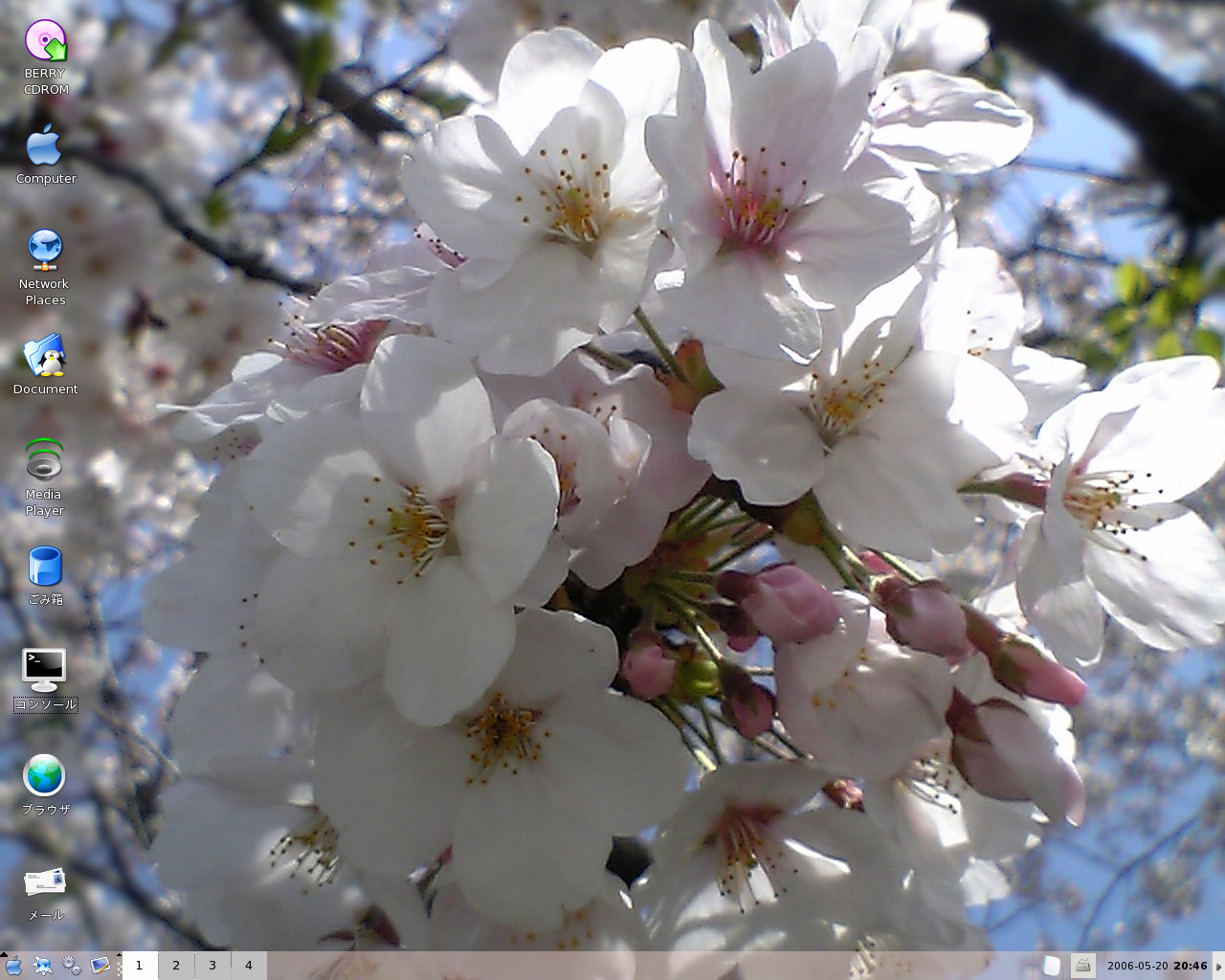Berry desktop screenshot: 0.70