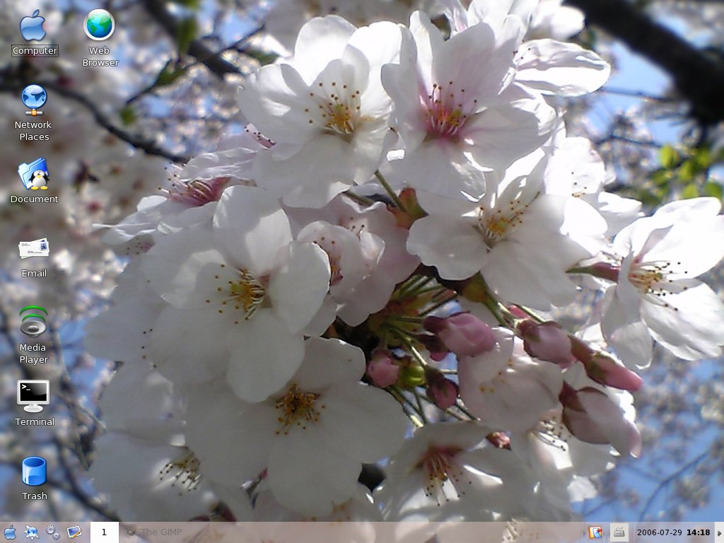 Berry desktop screenshot: 0.72 desktop