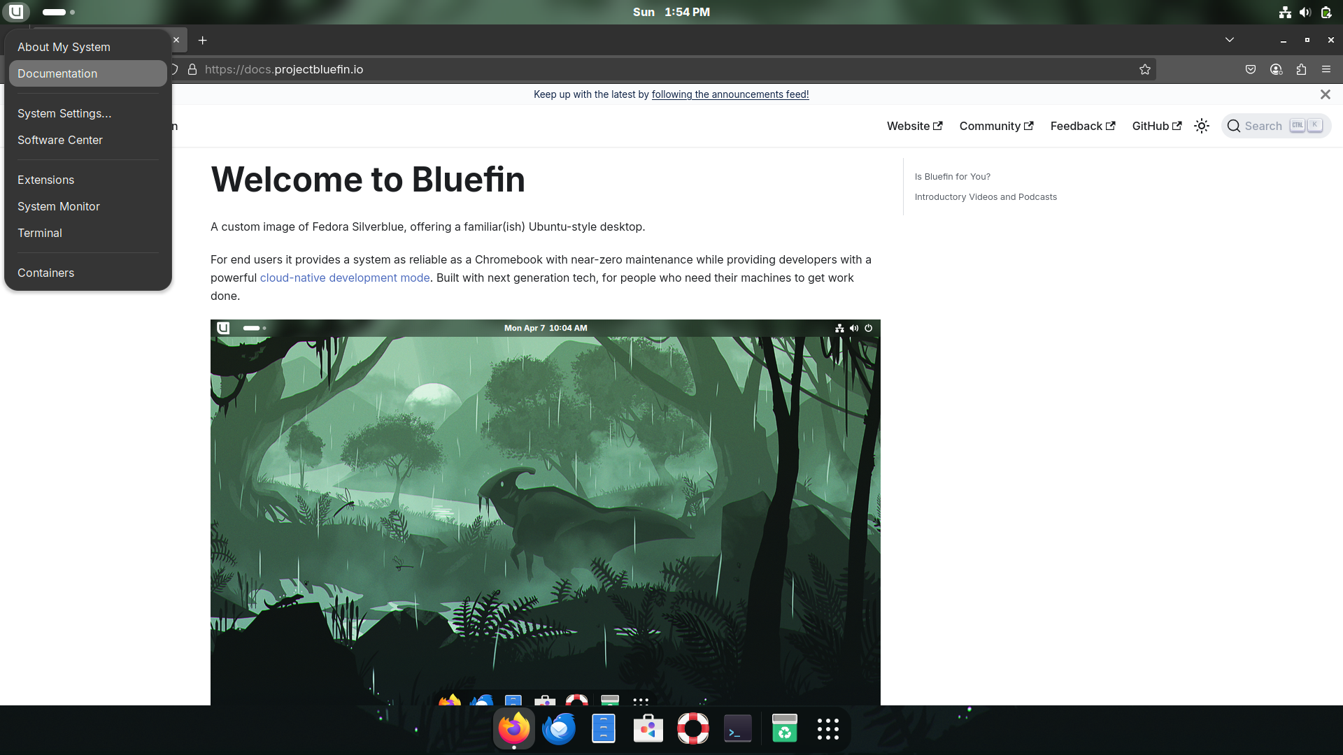 Bluefin desktop screenshot: 41 menu
