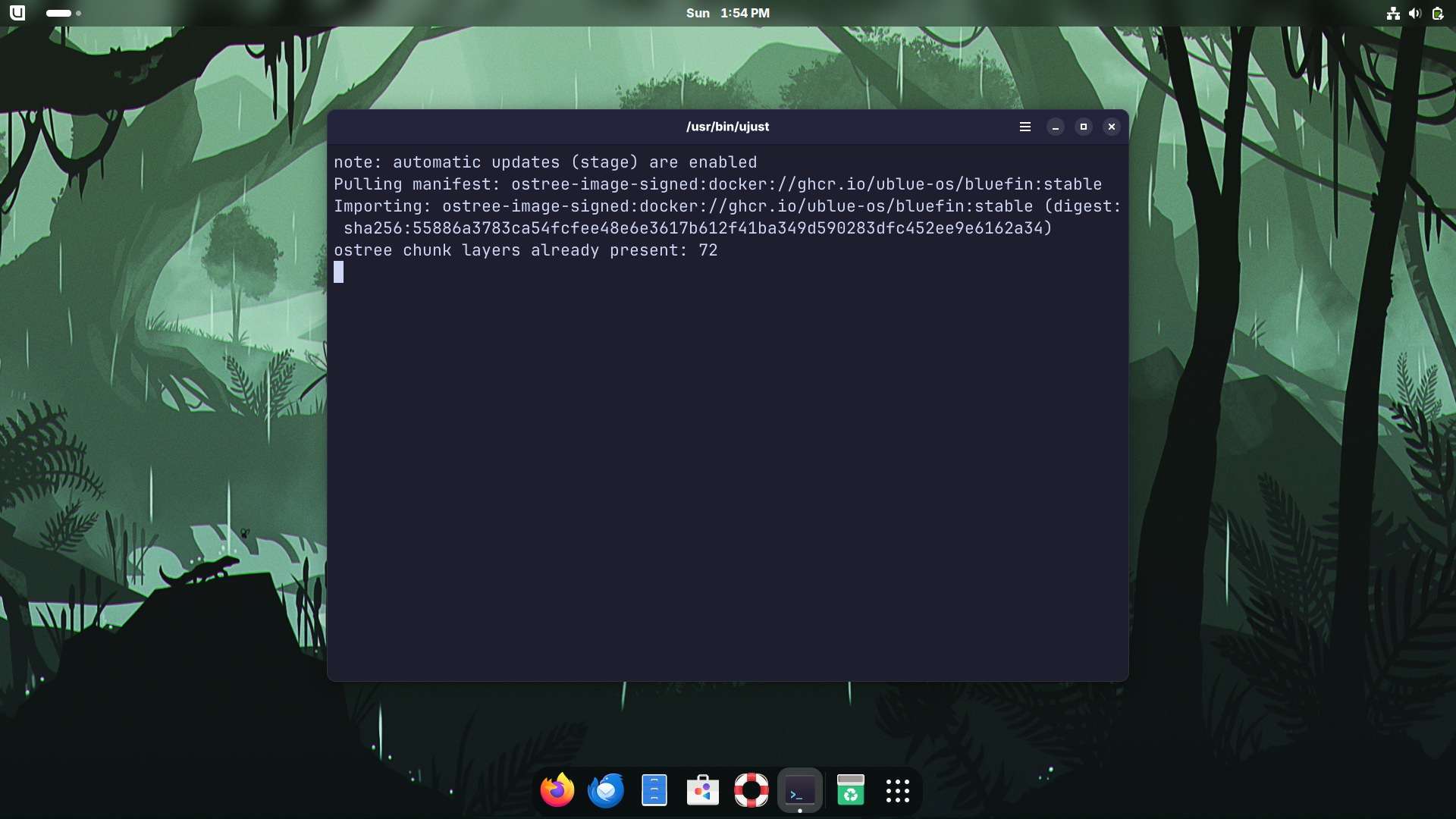 Bluefin desktop screenshot: 41 updates