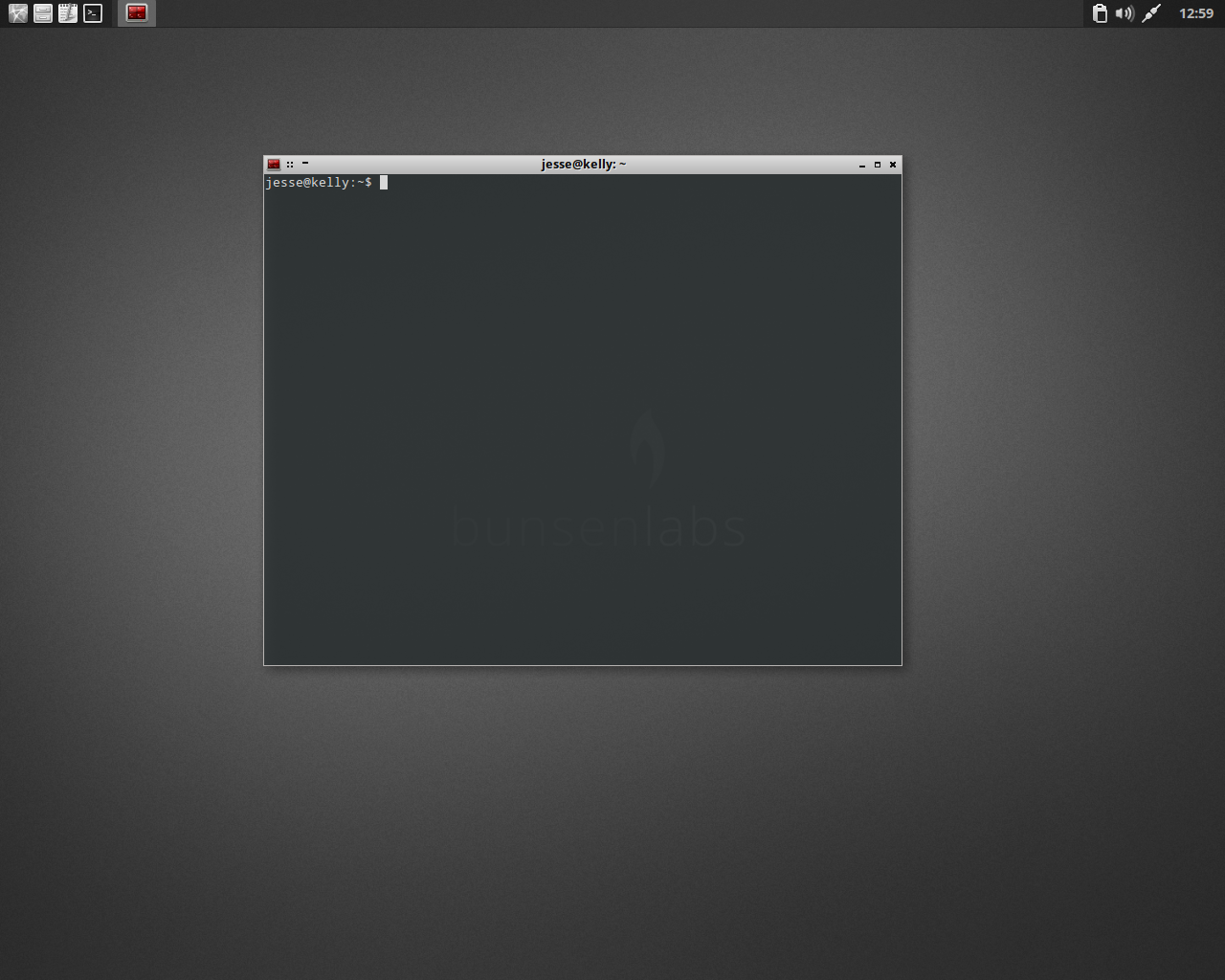 BunsenLabs desktop screenshot: hydrogen openbox