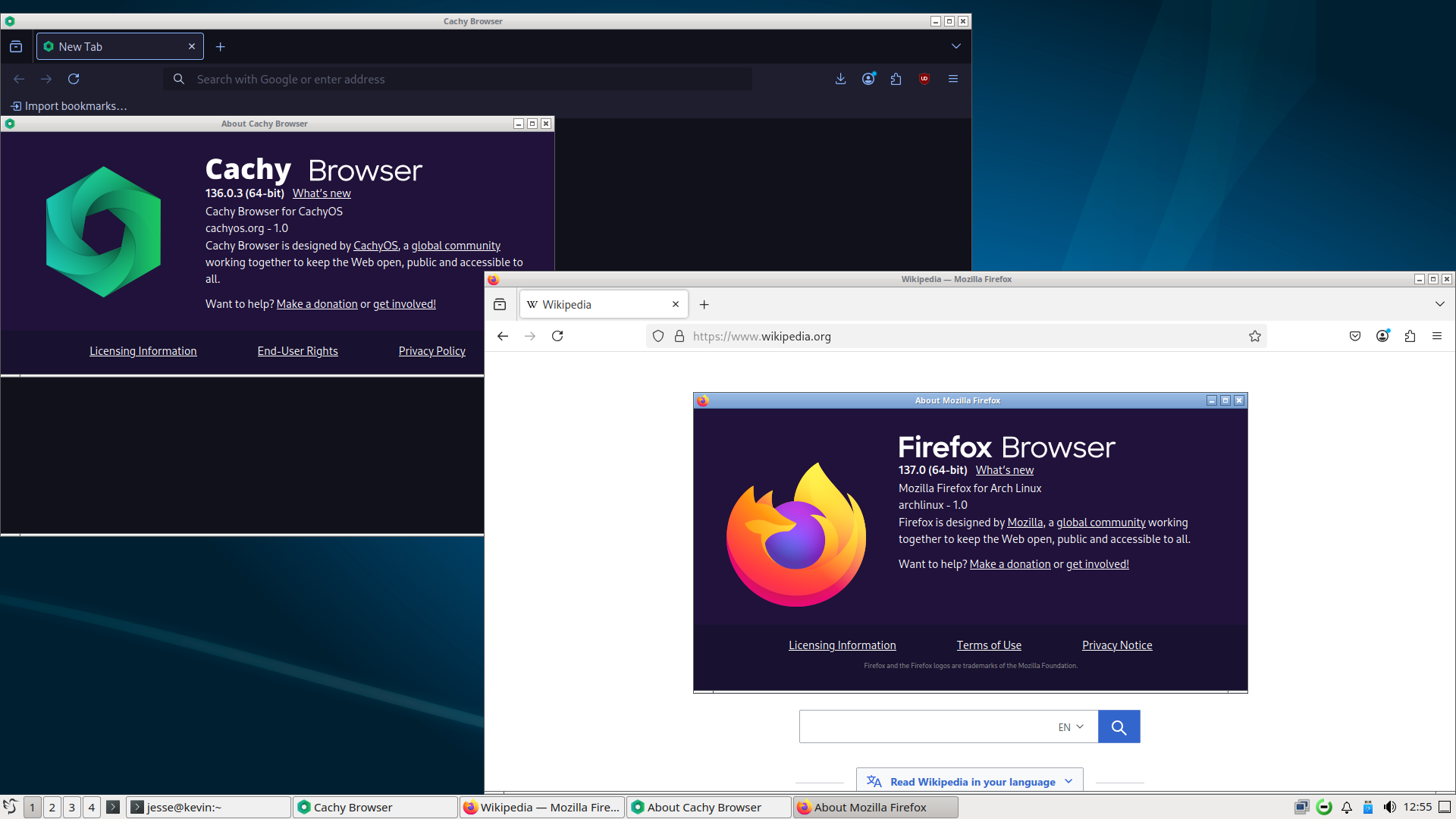 CachyOS desktop screenshot: 250330 firefox
