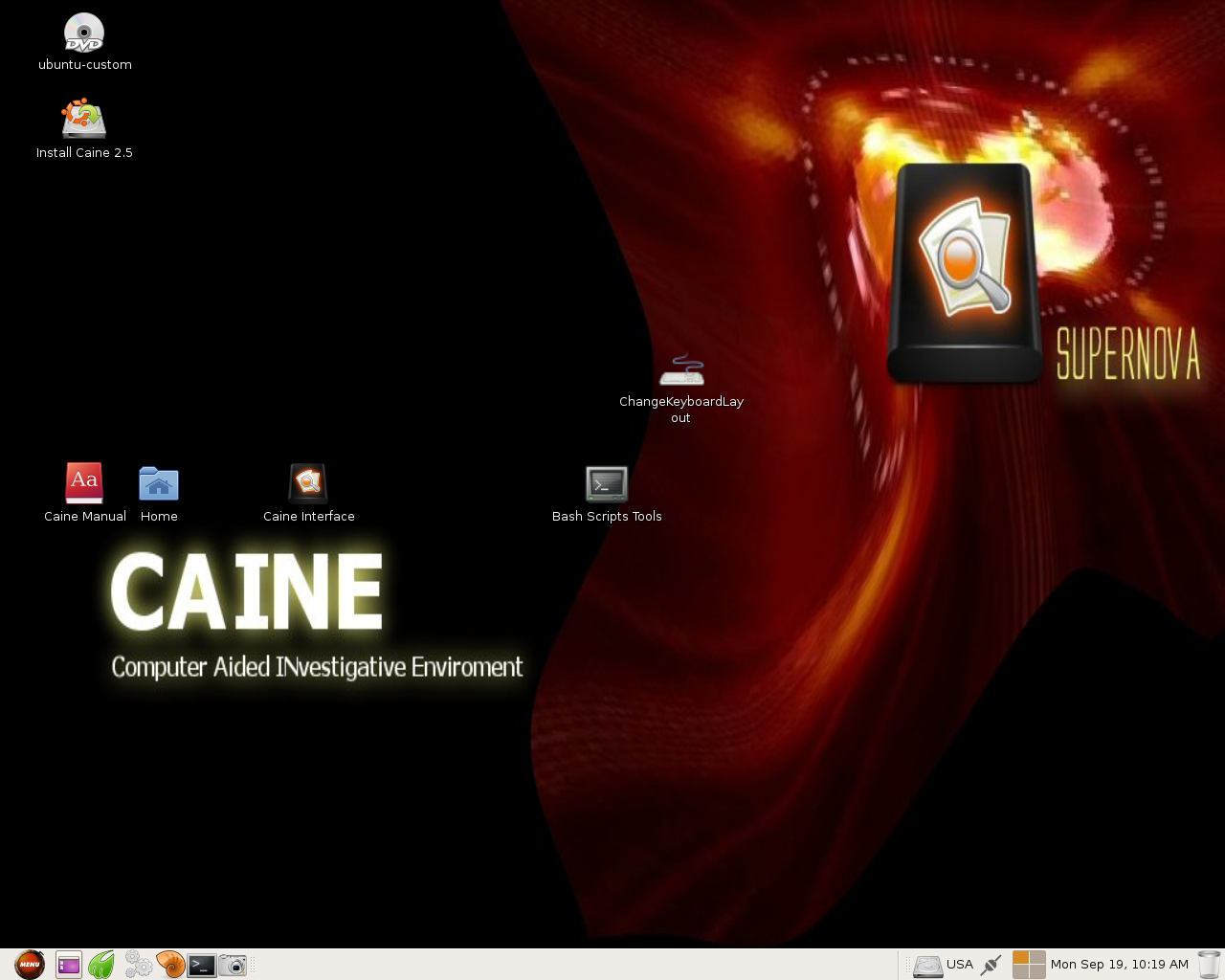 CAINE desktop screenshot: 2.5