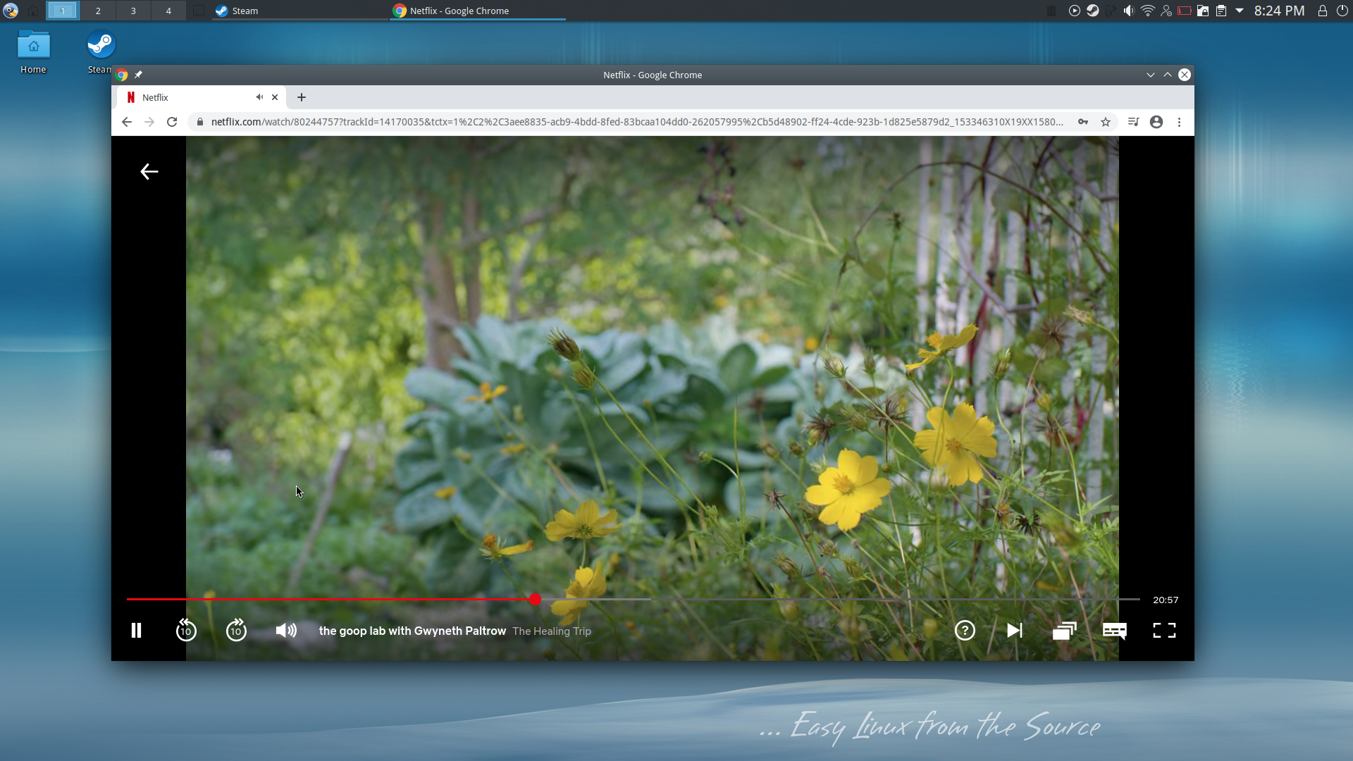 Calculate desktop screenshot: 20 watching netflix on chrome