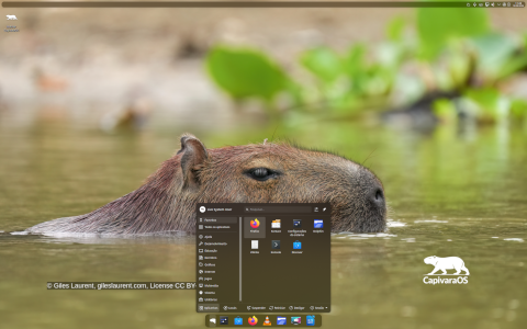 CapivaraOS desktop screenshot: Distribution overview