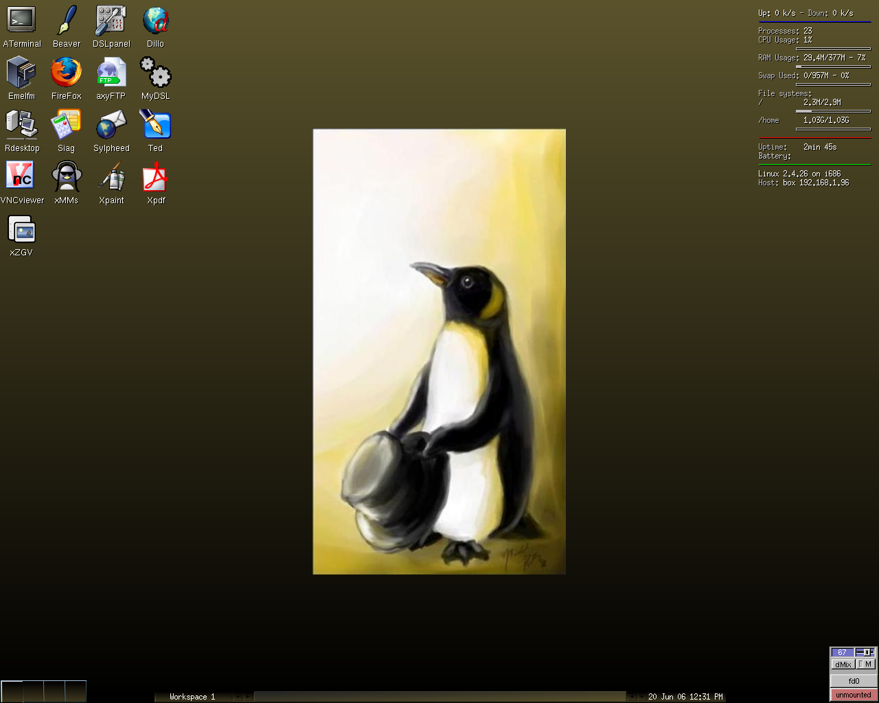 Damn Small desktop screenshot: 3.0