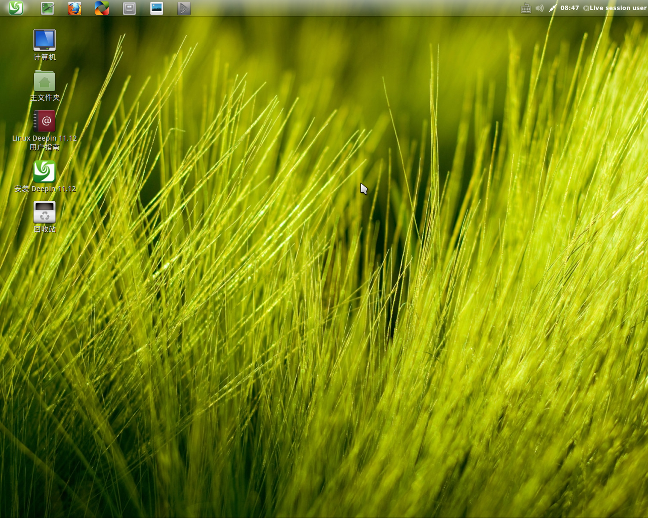 deepin desktop screenshot: 11.12
