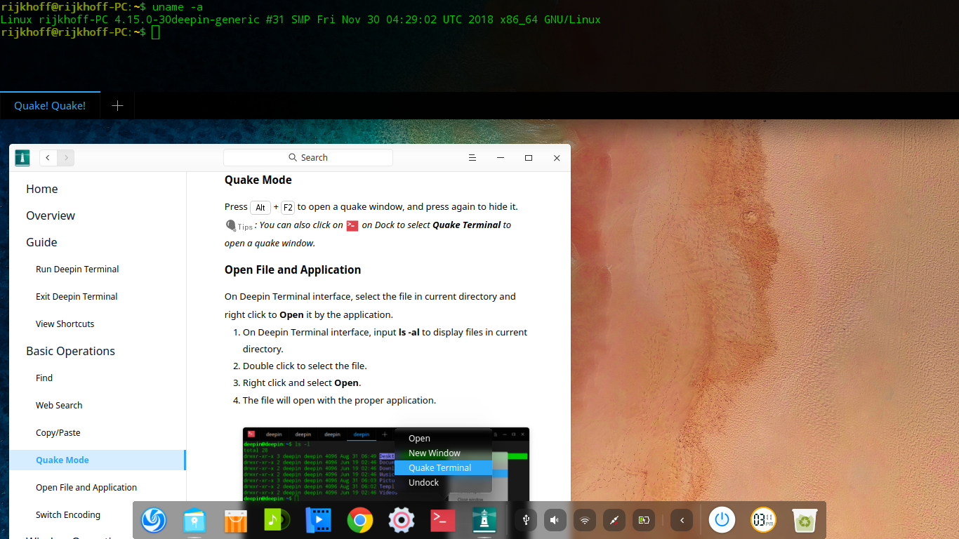 deepin desktop screenshot: 15.11 terminal manual