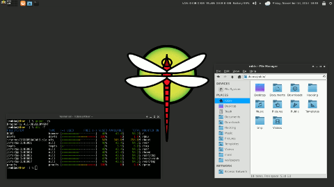 DragonFly desktop screenshot: Distribution overview