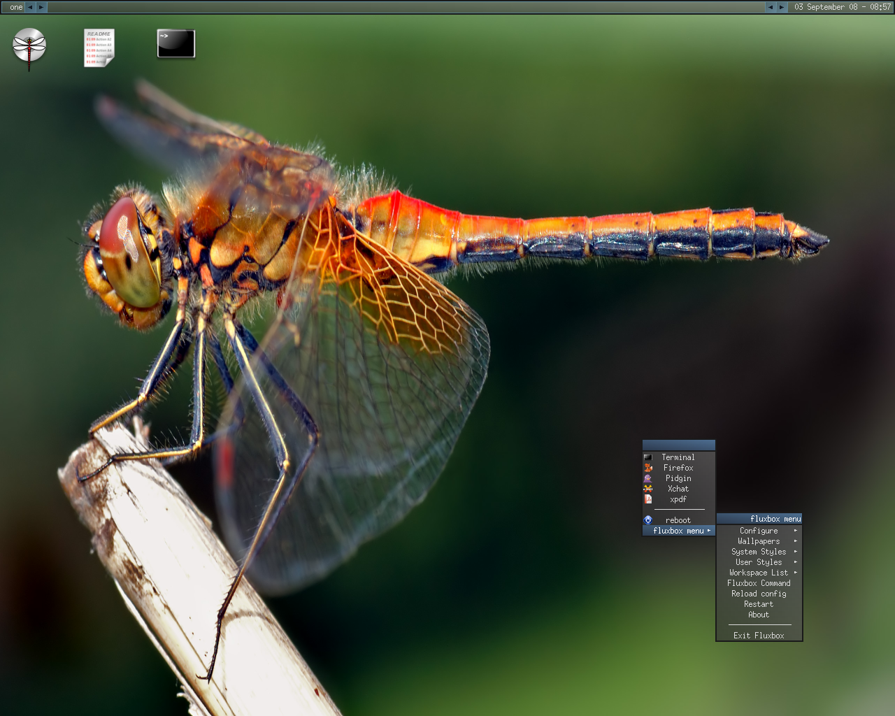 DragonFly desktop screenshot: 2.1 devel