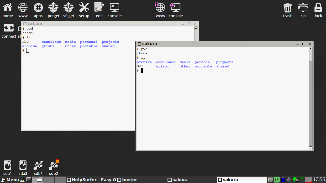 EasyOS desktop screenshot: 2.2 contained dir