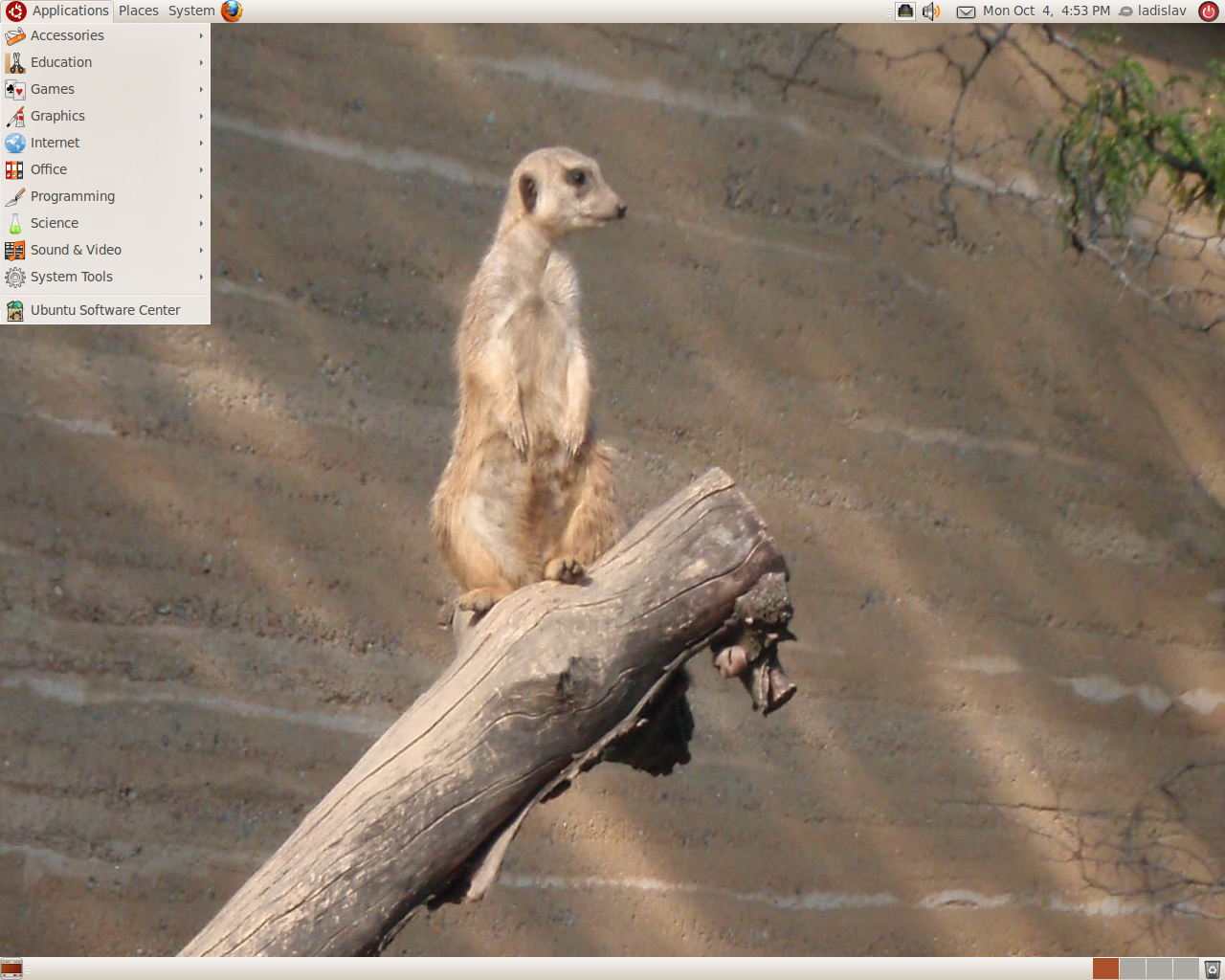 Edubuntu desktop screenshot: 10.10 rc