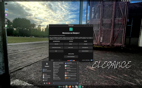 ELEGANCE desktop screenshot: Distribution overview