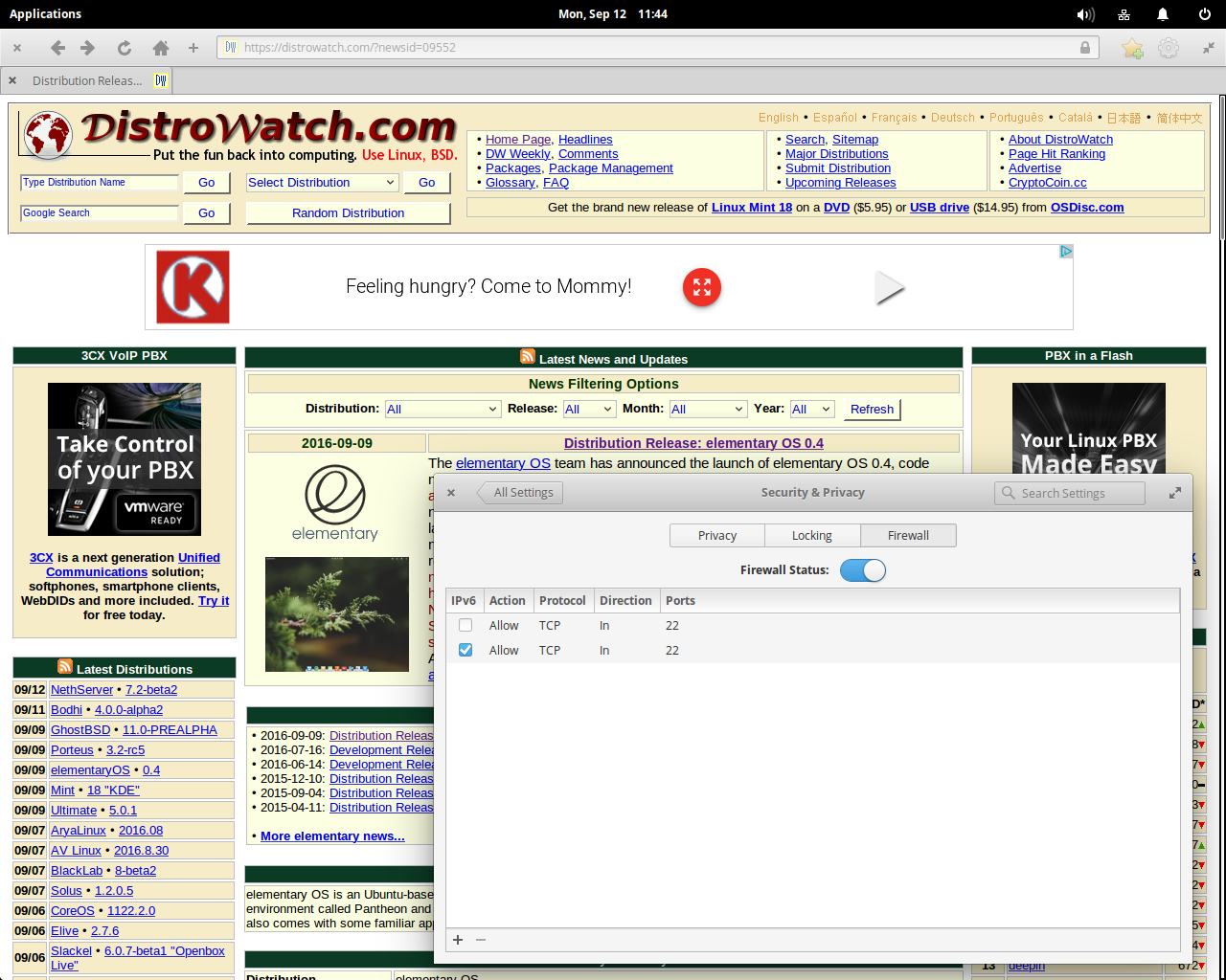elementary desktop screenshot: 0.4 firewall
