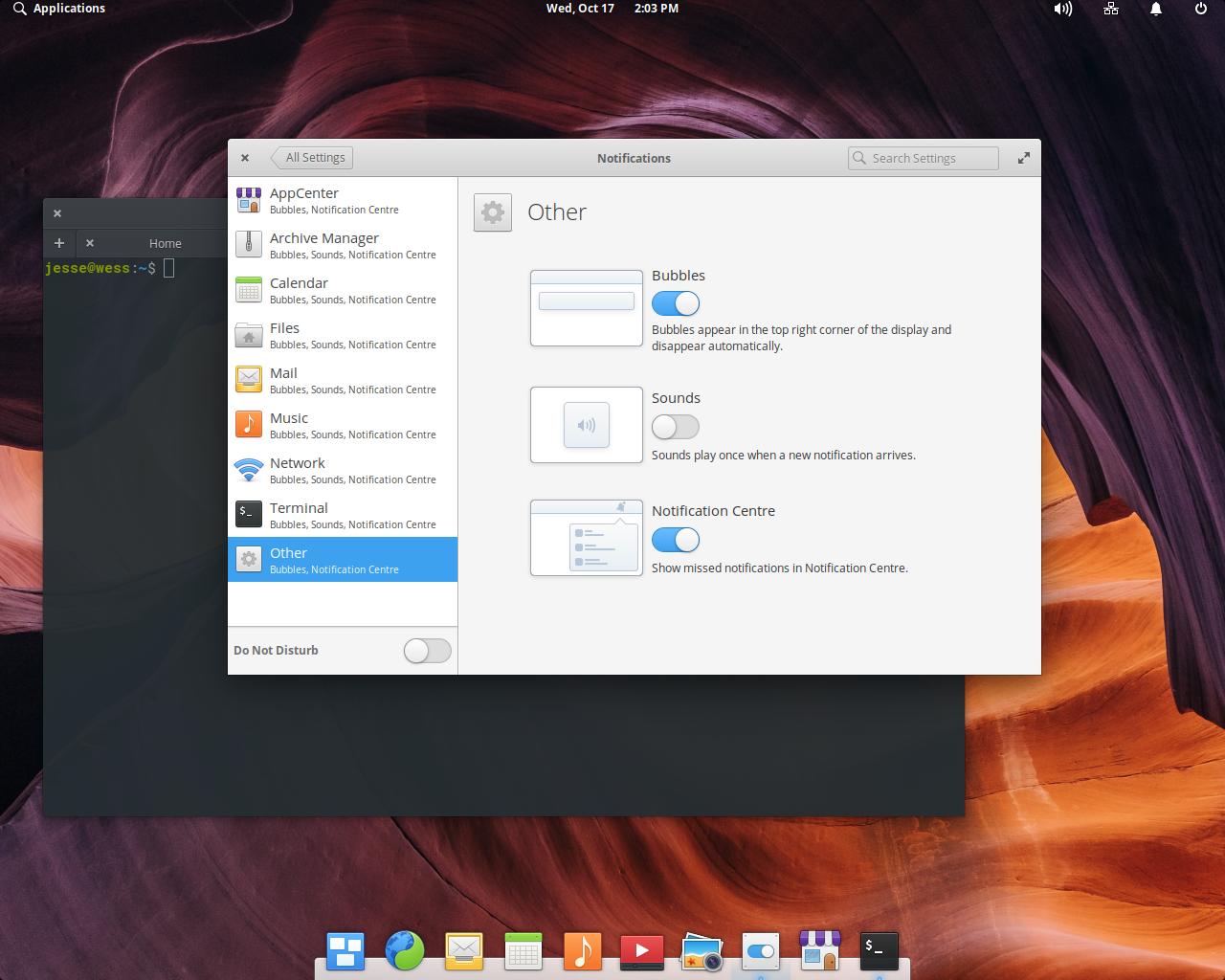 elementary desktop screenshot: 5.0 notifications