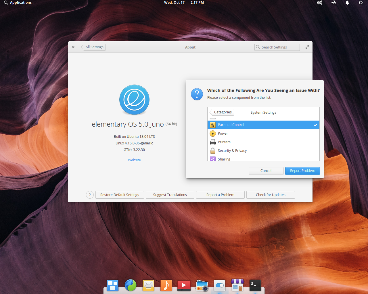 elementary desktop screenshot: 5.0 report