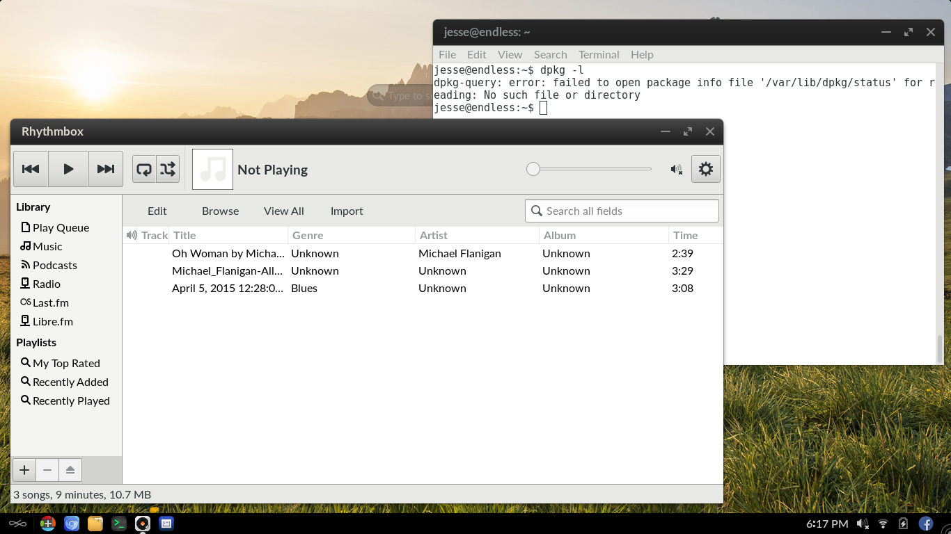 Endless desktop screenshot: 3.0.5 rhythmbox