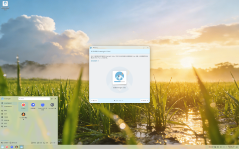 Evernight Vista desktop screenshot: Distribution overview