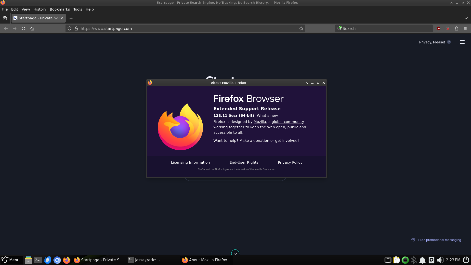 Expirion desktop screenshot: 6.0 firefox