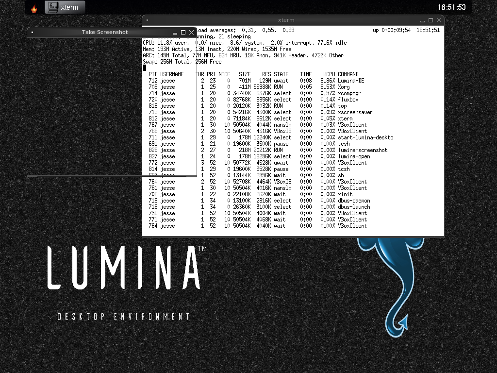 FreeBSD desktop screenshot: 11.0 hiding pids