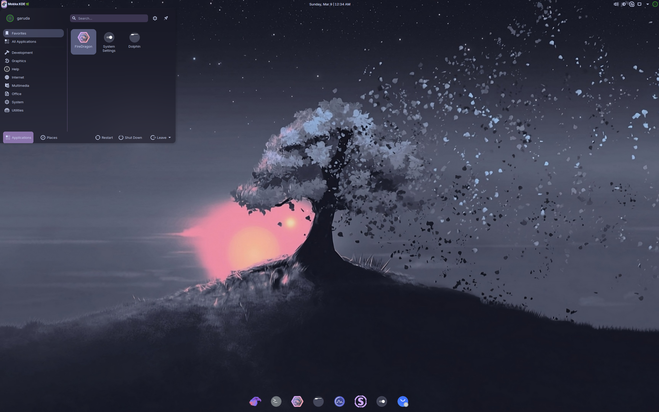 Garuda desktop screenshot: 250308