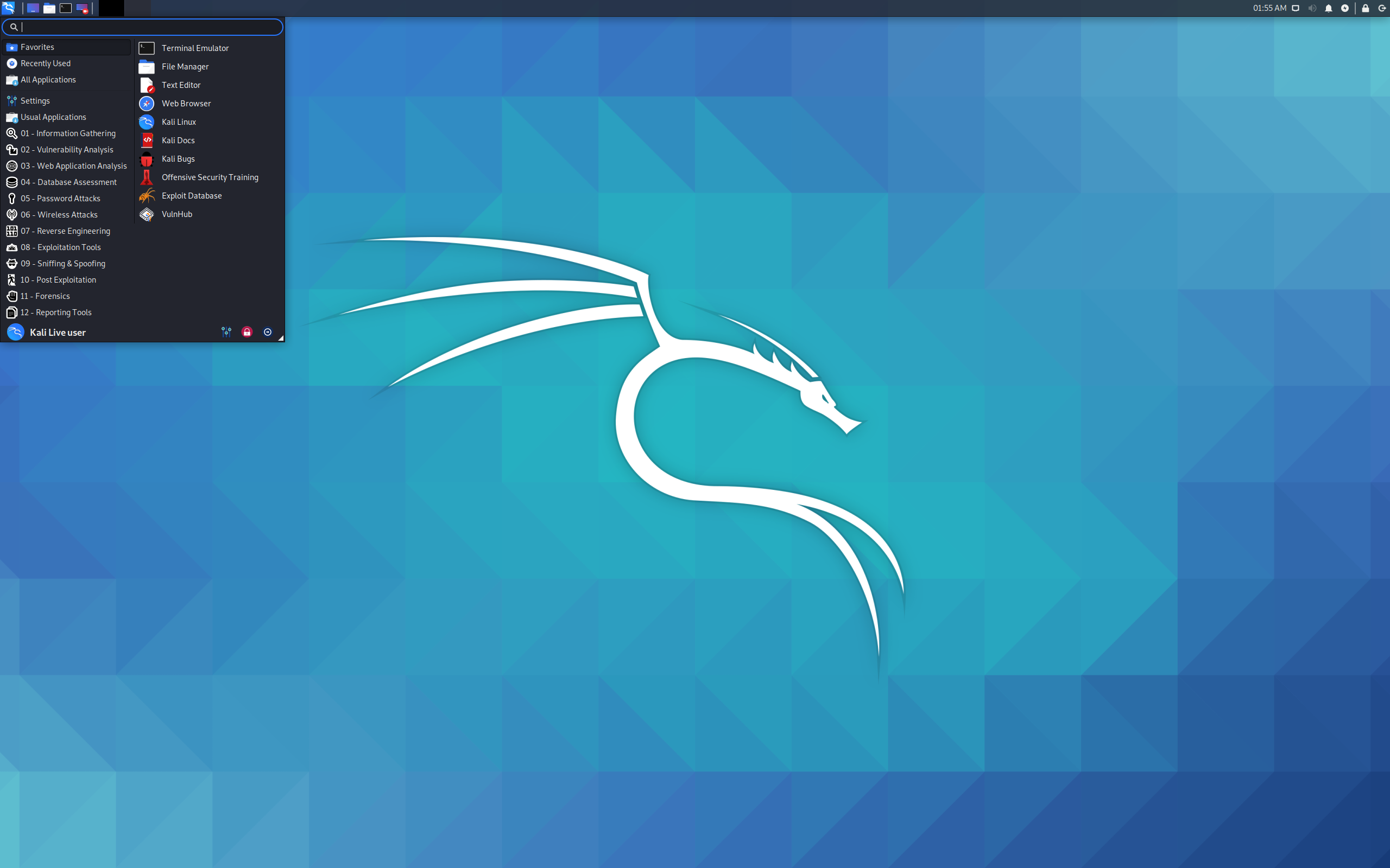 Kali desktop screenshot: 2020.3
