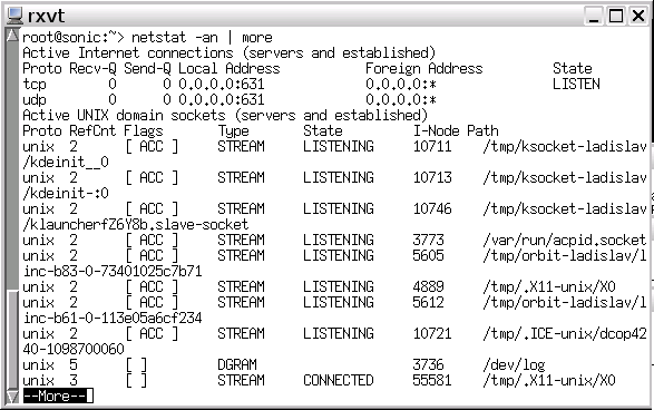 KANOTIX desktop screenshot: netstat
