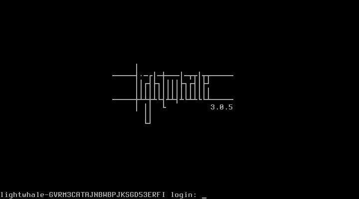 Lightwhale desktop screenshot: 3.0.5