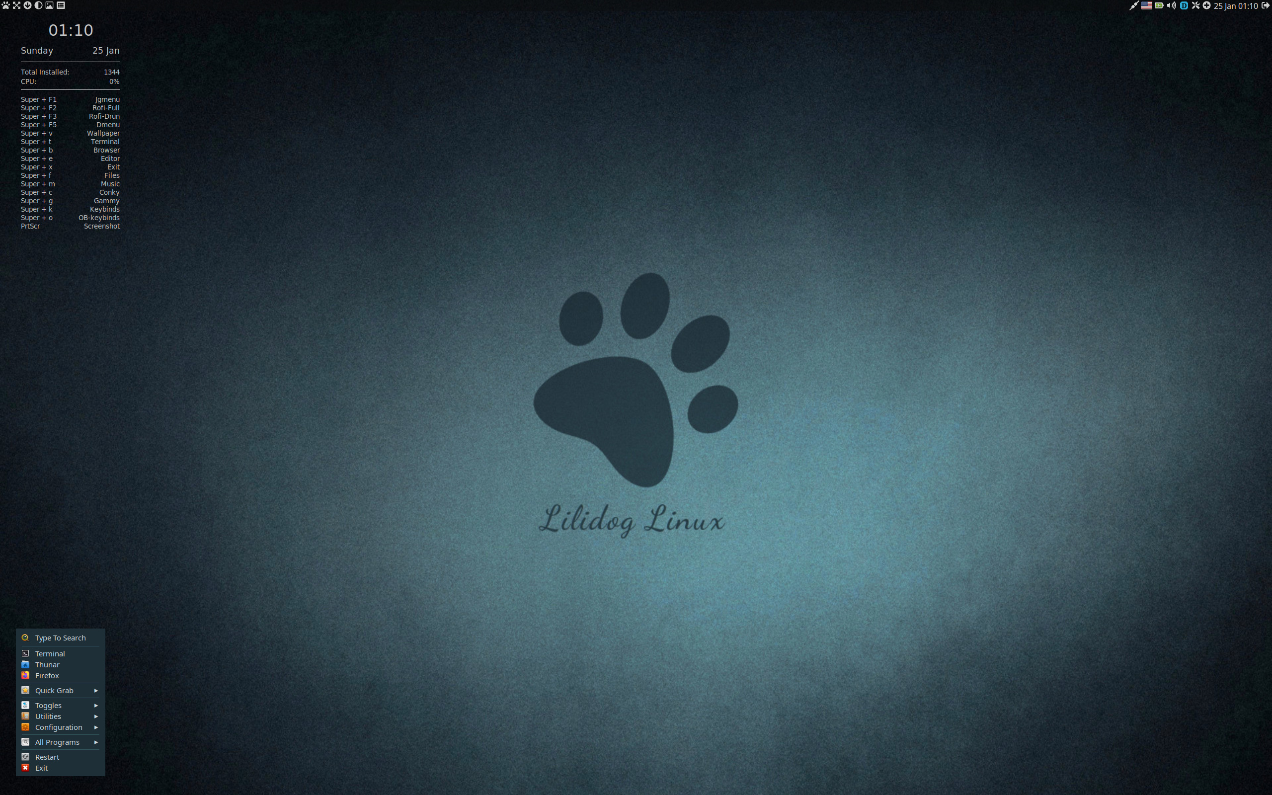 Lilidog desktop screenshot: 26.01.10