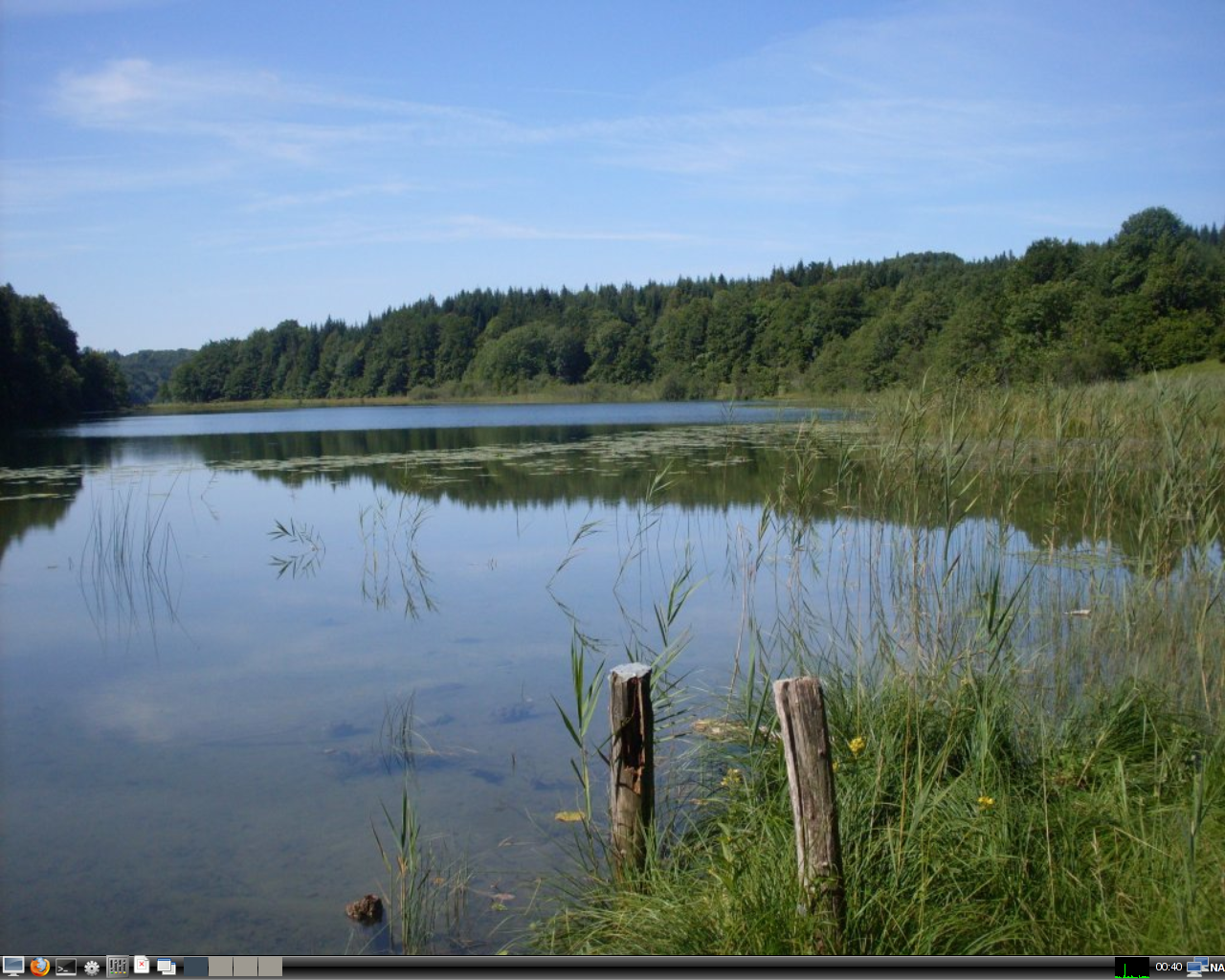 LinuxConsole desktop screenshot: 1.0.2010
