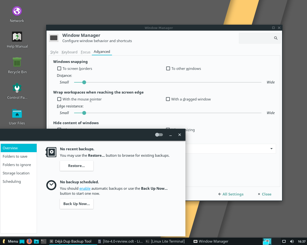 Lite desktop screenshot: 4.0 backups