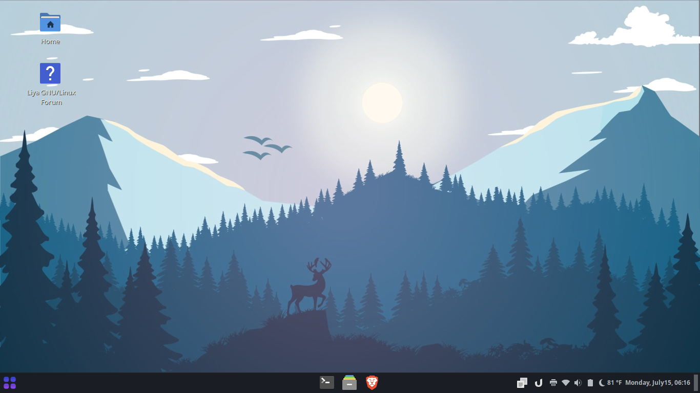 Liya desktop screenshot: 2.0 desktop