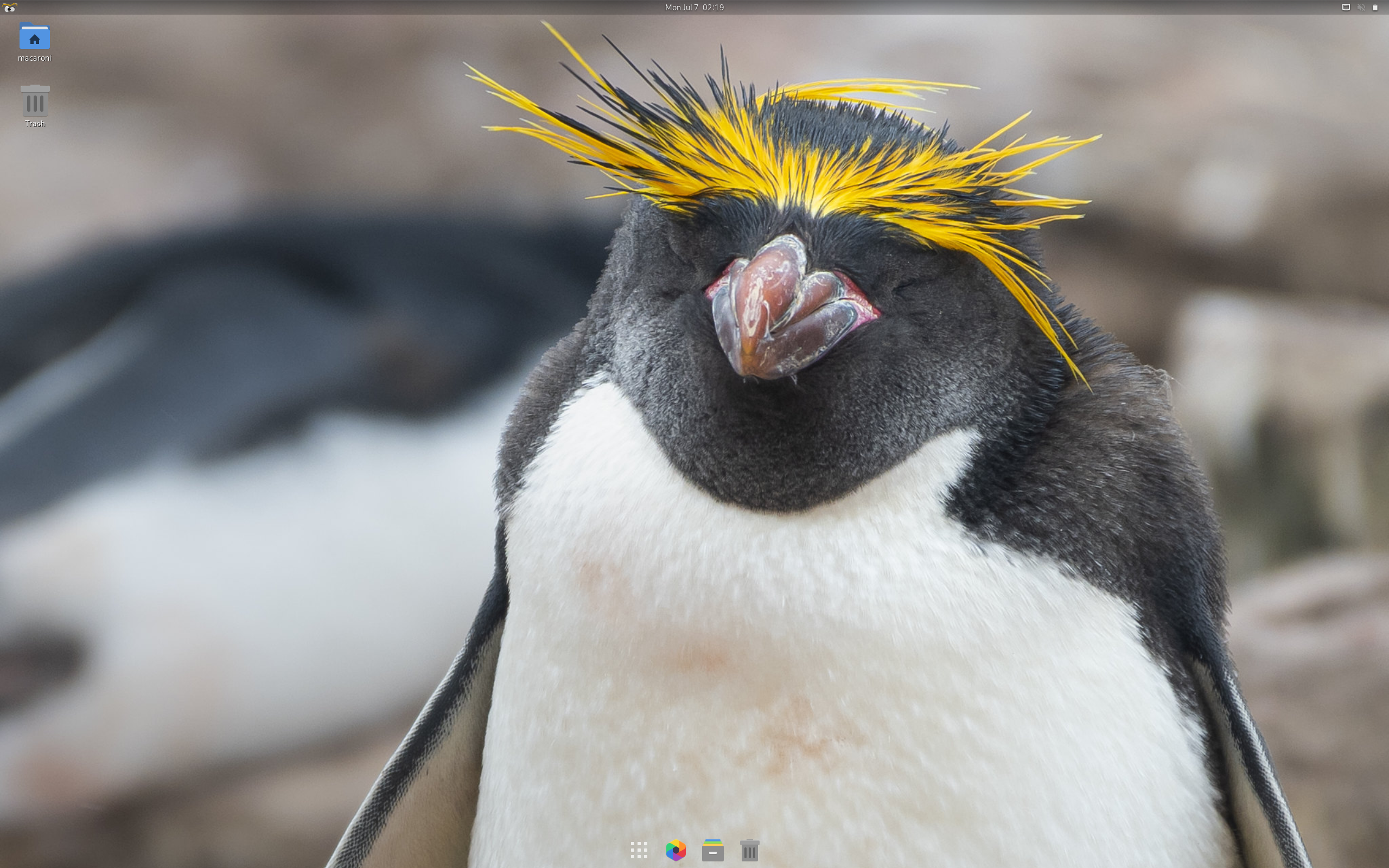 Macaroni desktop screenshot: 25.06