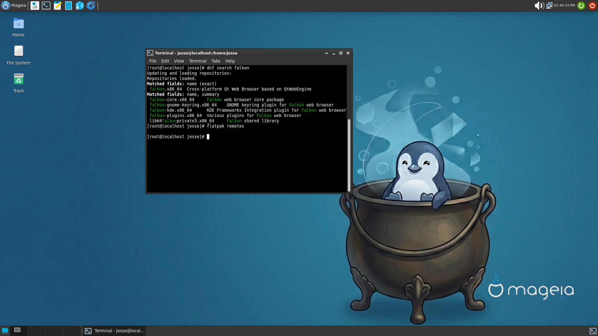Mageia desktop screenshot: 10 dnf