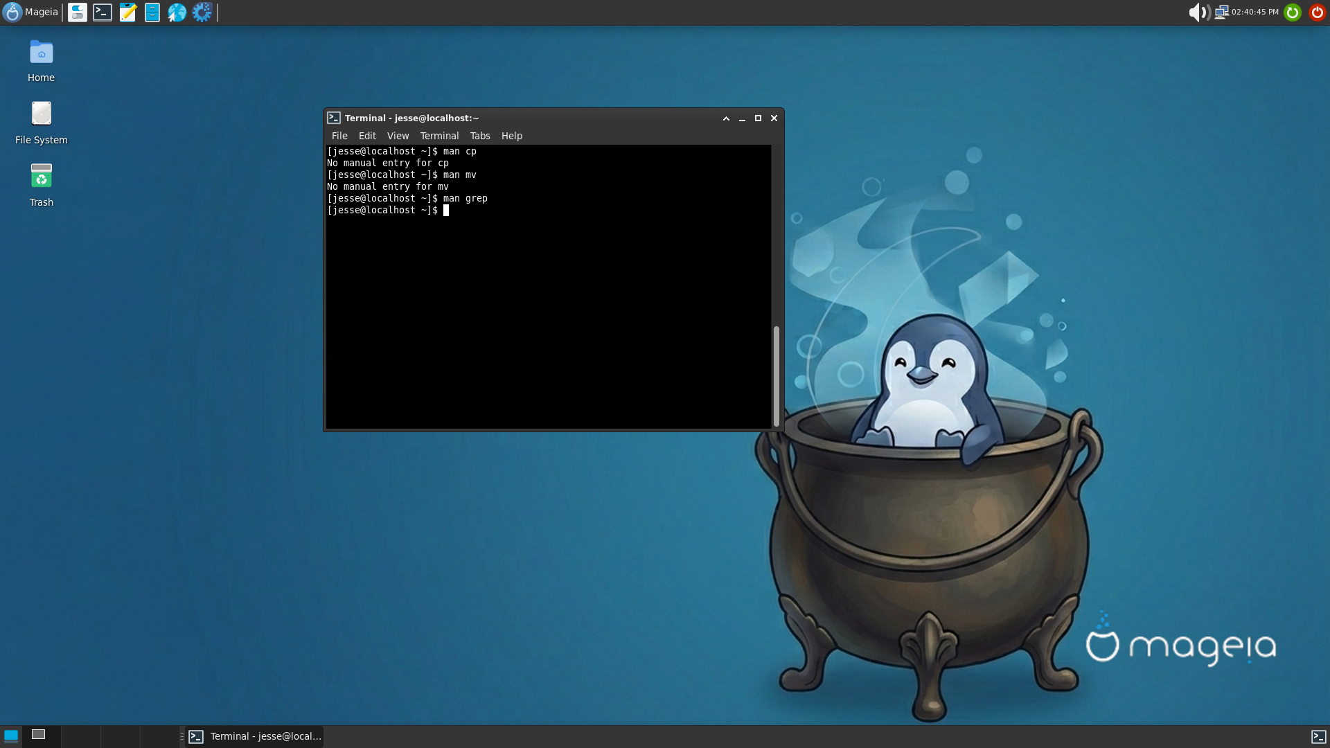 Mageia desktop screenshot: 10 man