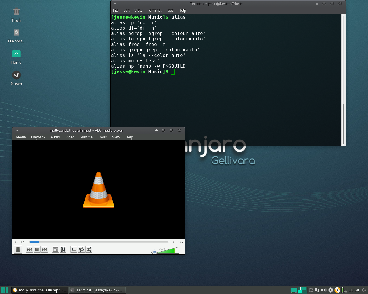 Manjaro desktop screenshot: 17.0.2 alias