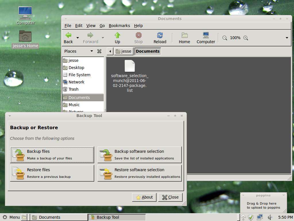 Linux Mint desktop screenshot: 11 backup
