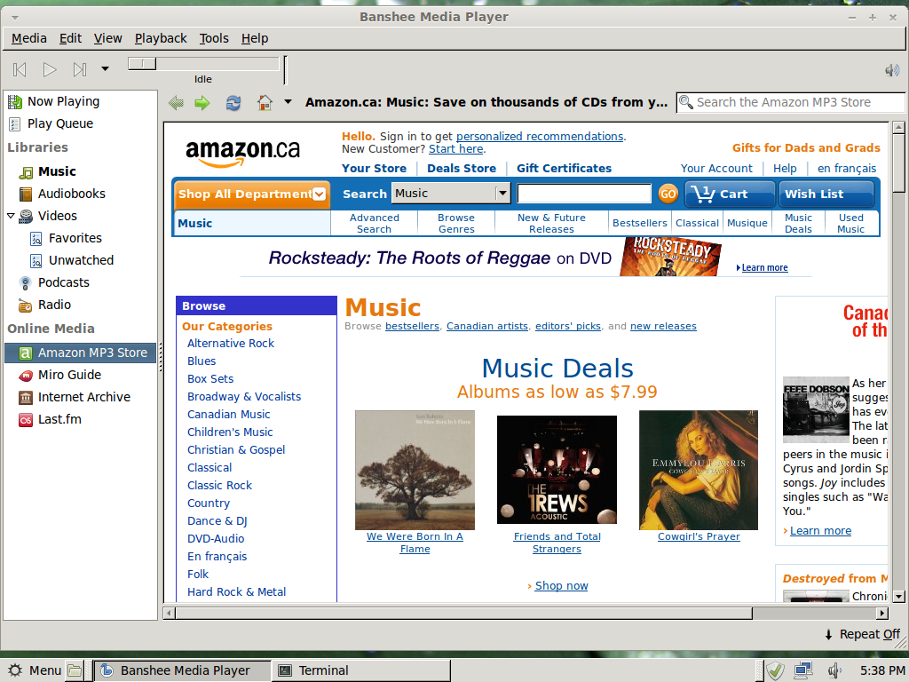 Linux Mint desktop screenshot: 11 music