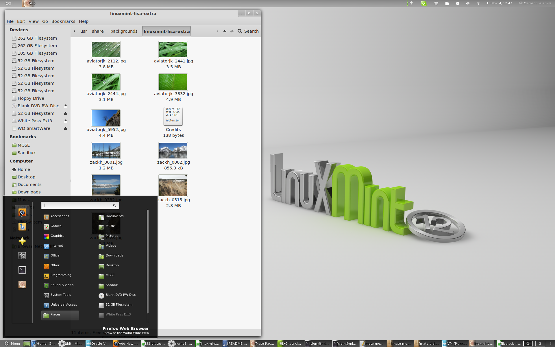 Linux Mint desktop screenshot: 12 preview