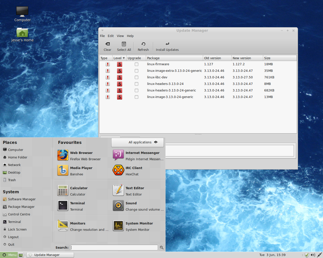 Linux Mint desktop screenshot: 17 updates